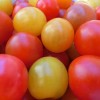 fruit_tomato_price