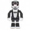 robohon_sales_future