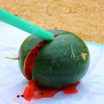 watermelon_splitting_image